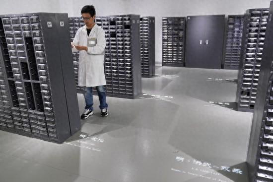 古陶瓷基因库：破解荷兰藏家瓷盘年代之谜，古陶瓷基因库：探寻古代陶瓷文明的宝库