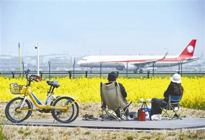一季度成都航空枢纽货运吞吐量同比大增，原因何在？ 成都：航空货运蓬勃发展，“百万吨级”地位巩固
