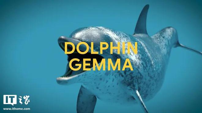 谷歌DeepMind的DolphinGemma：开启海豚语言研究新纪元，惊！谷歌推出DolphinGemma模型，探索海豚沟通奥秘