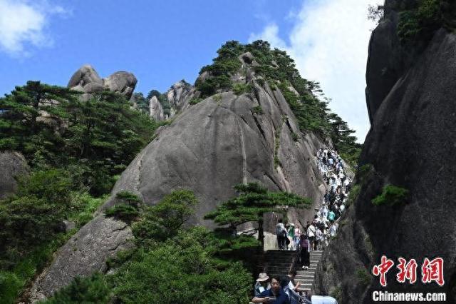 向任性说“不”！黄山风景区对违规“野游”者作出行政处罚