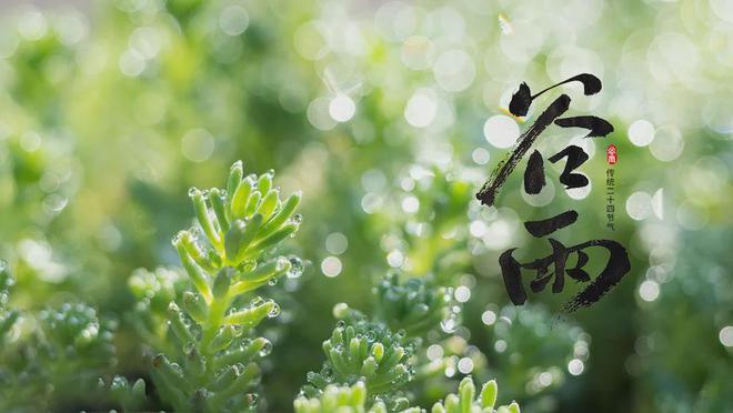 谷雨花信风之终：赏牡丹嗅楝花
