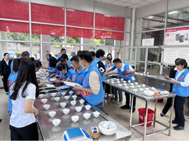 评茶员技能竞赛在泉州台商投资区圆满收官，2025年泉州台商投资区评茶员竞赛：赛出技能，传承茶文化