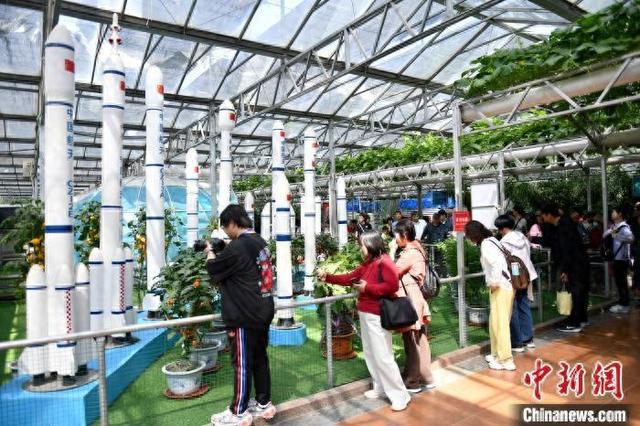 山东寿光：菜博会六大方面引领农业新发展，菜博会在寿光开幕：农业现代化的新引擎