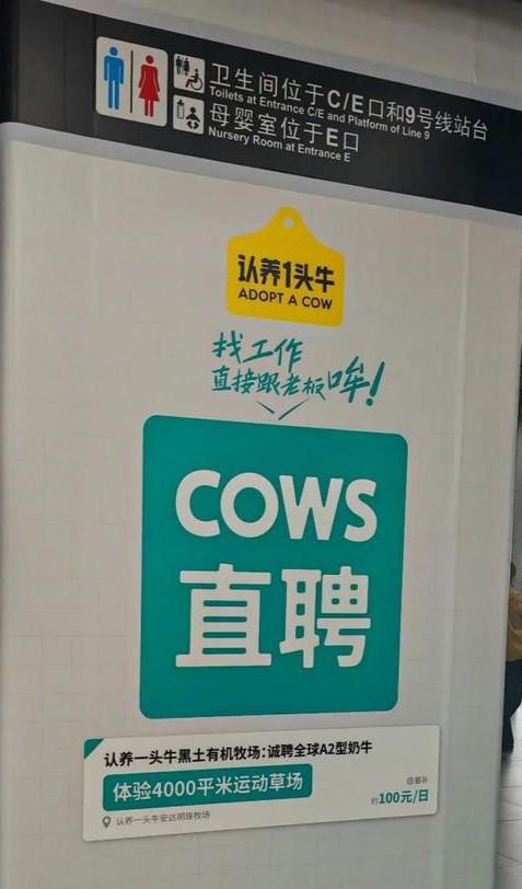 认养一头牛“找工作 直接跟老板哞”引争议，回应：想表达对奶牛的重视
