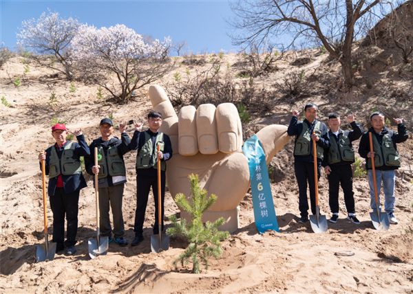 蚂蚁森林9年成果：6亿棵树扎根大地