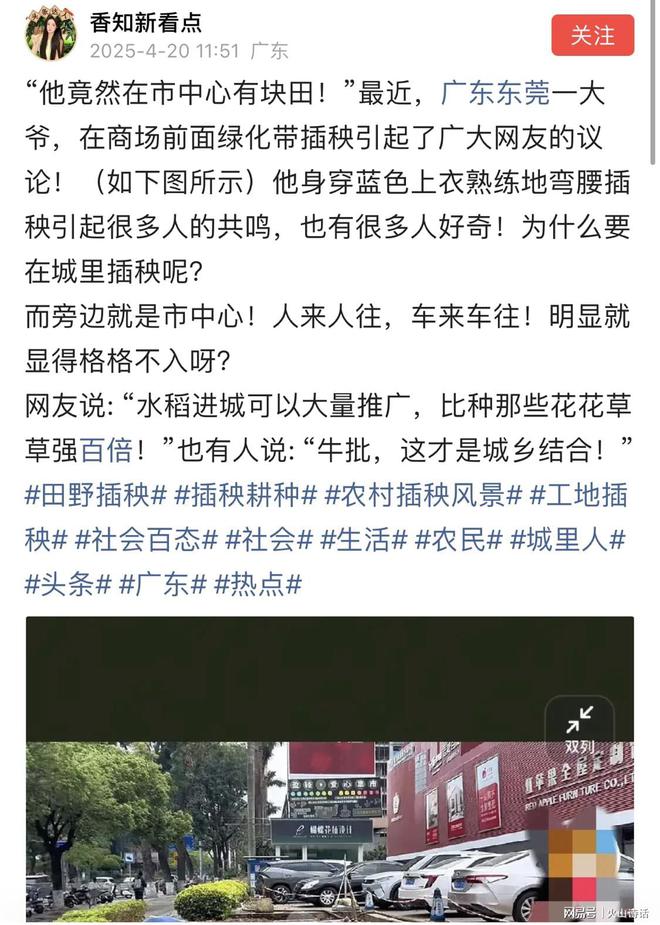 网传东莞一大爷竟在商场前绿化带插秧，网友：估计整栋楼都是他的
