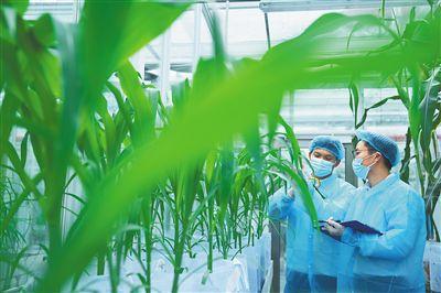 全球动植物种质资源引进中转基地新进展：服务中心揭牌，聚焦全球动植物种质资源引进中转基地：服务中心开启新阶段
