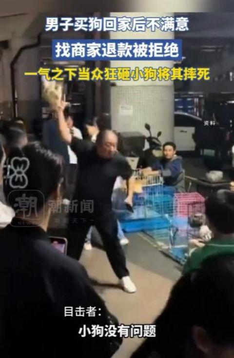男子买狗后退款遭拒，当场暴力摔死狗，目击者发声：最残忍的人