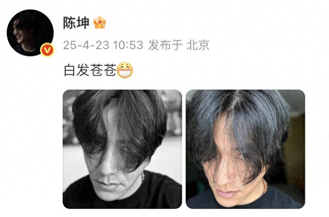 陈坤晒自拍照配文：白发苍苍，网友：坦然面对吧